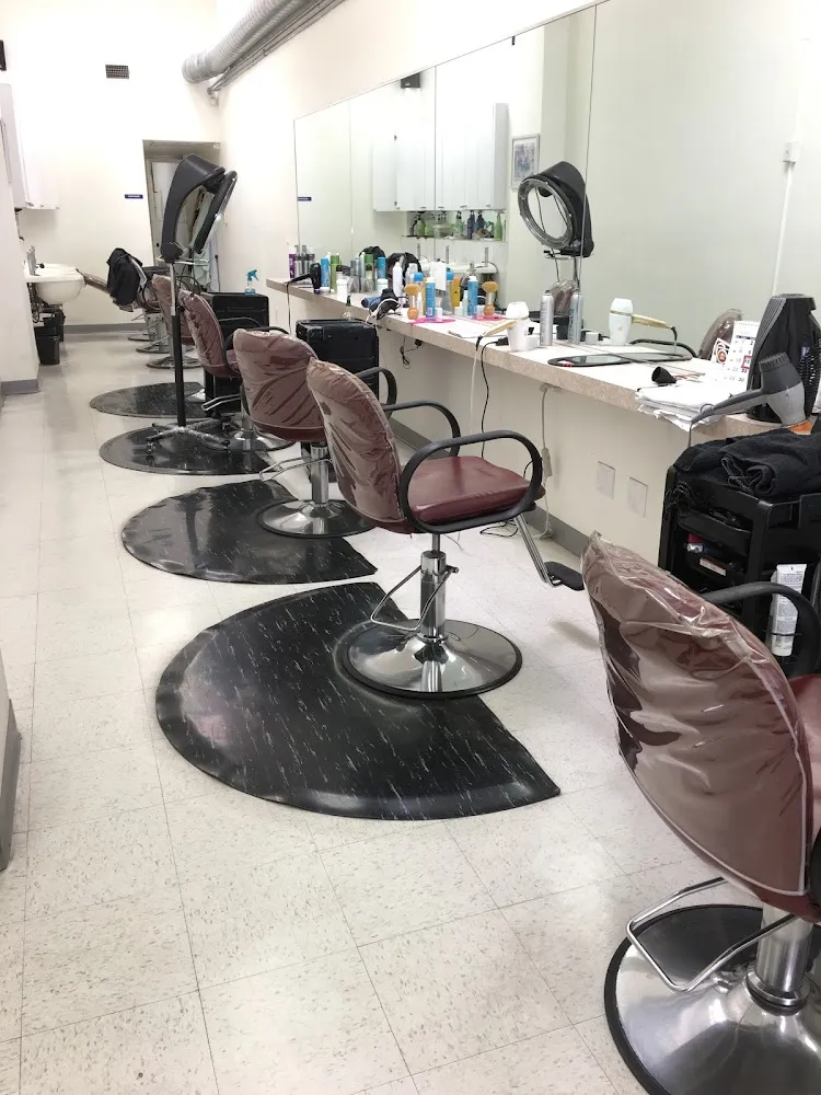 Top California Hair Salons & Beauty Stylists